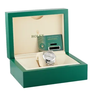 Rolex Datejust 41 126300 Silver Dial box and papers