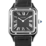 Cartier WSSA0046