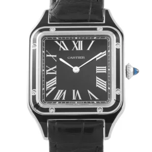Cartier WSSA0046