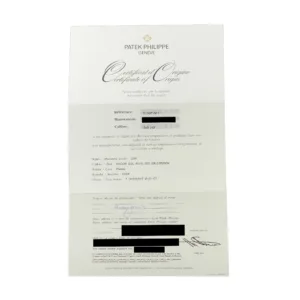 Patek Philippe 5130P-001 World Time platinum watch papers of authenticity