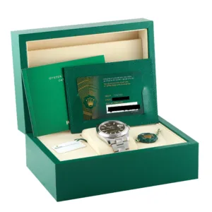 Rolex Datejust 41 126300 luxury watch Box and Papers